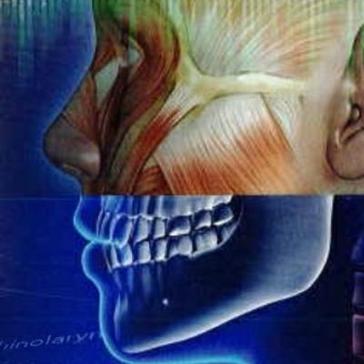 Medical Terminology for Health Professions Chapter Twelve: The Integumentary System.