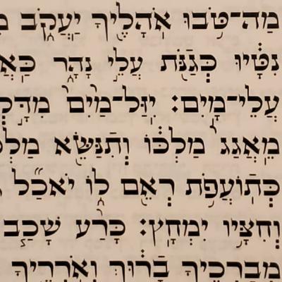 Chukas-Balak double parsha laining and haftorah 5780 Chukas-Balak double parsha laining and haftorah 5780