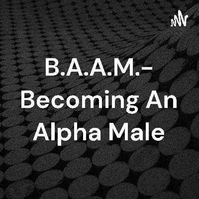 B.A.A.M.- Introduction