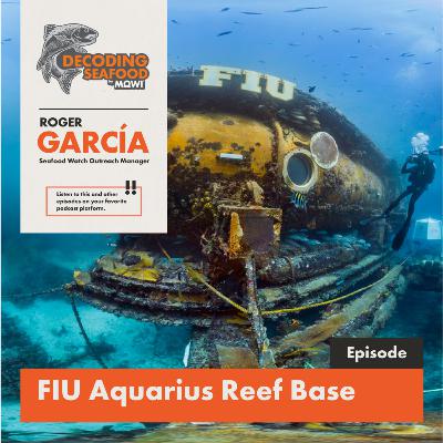 Decoding the Depths: A Conversation with Roger Garcia at the Aquarius Reef Base