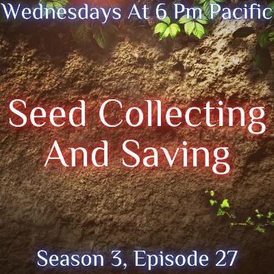 Seed Collecting And Saving