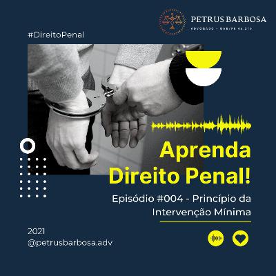 004 - Princípio da Intervenção Mínima