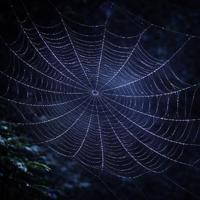 The Spider's Web (Part 1/5) | Verse Introduction The Spider's Web (Part 1/5) | Verse Introduction