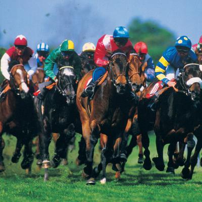 Learn about the Grand National 2023 Runners - Horse Racing at Aintree