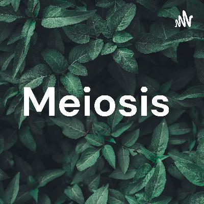 Meiosis