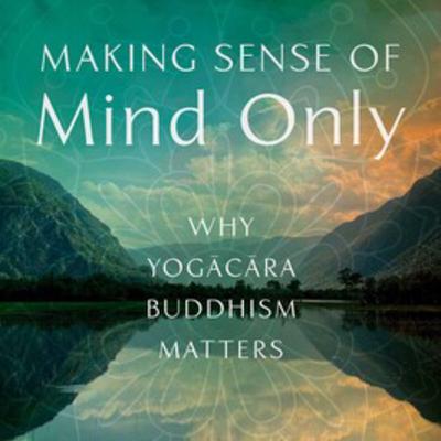 Making Sense of Mind Only 2