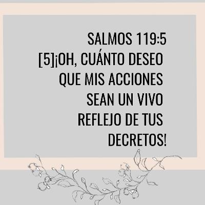 Devocional "Los problemas" 🚣