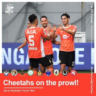 Cheetahs on the Prowl!