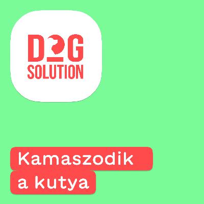 Dog Solution #09 - Kamaszodik a kutya