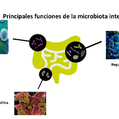 El mejor amigo de la humanidad