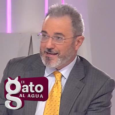 El Gato Al Agua | 28/01/2026
