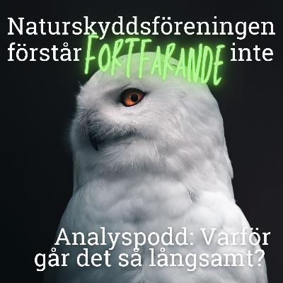 "Det skulle kunna finnas hopp" - en analyspodd med en statsvetare och en politisk redaktör "Det skulle kunna finnas hopp" - en analyspodd med en statsvetare och en politisk redaktör
