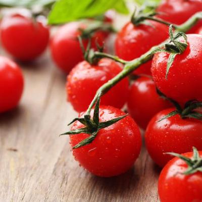 What Is a Chadwick Cherry Tomato: All About Chadwick Cherry Tomatoes from Bloom Ranch of Acton's Heirloom Collection