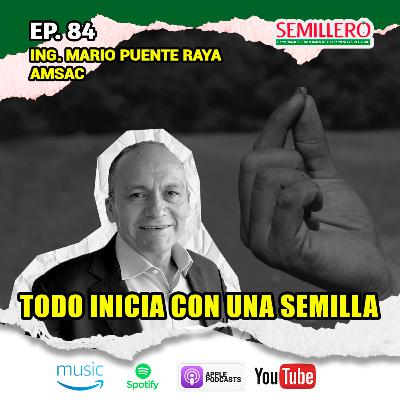 EP. 84 Todo inicia con una SEMILLA | Mario Puente Raya | AMSAC
