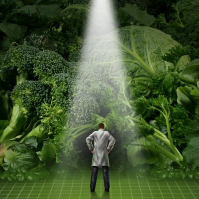 72 Hours of Plant Based Eating Hasn't Sucked 72 Hours of Plant Based Eating Hasn't Sucked