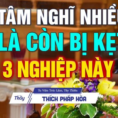 Người tâm hay loạn suy nghĩ lung tung là còn kẹt vào 3 nghiệp này - Thầy Thích Pháp Hòa