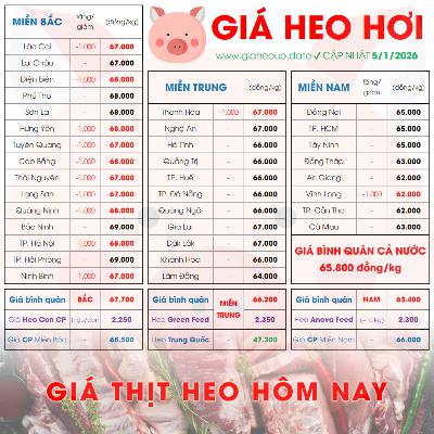 GIÁ HEO HƠI 5/1/2026 ✅ GIÁ THỊT LỢN & TIN TỨC CHĂN NUÔI #GIAHEOHOI #GIATHITHEO #GIAHEOUPDATE