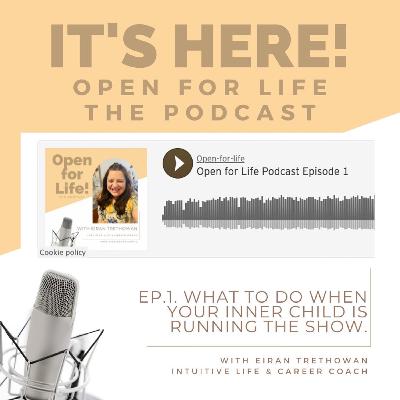 What to do when your inner child is running the show? What to do when your inner child is running the show?