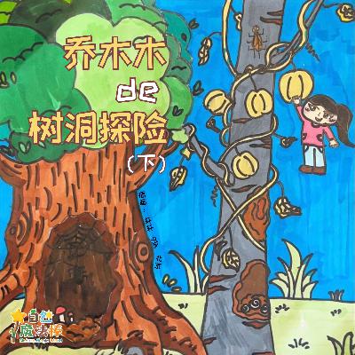 【亲亲自然】乔木木的树洞探险（下）