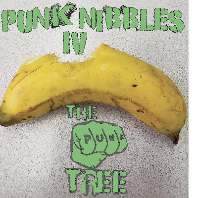 Punk Nibbles #4: A Dense Hoppy Finish in Your Mouth