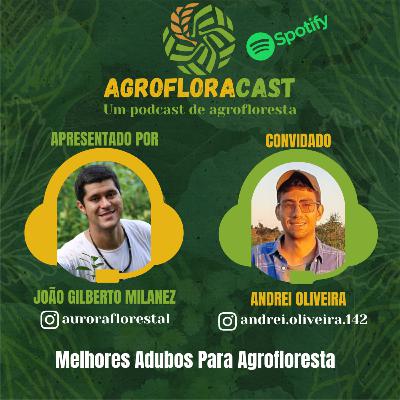 #48 - Quais são os Melhores Adubos para Agrofloresta