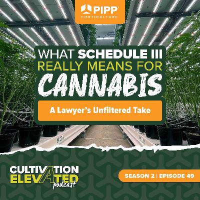 049: What Schedule III Really Means for Cannabis: A Lawyer’s Unfiltered Take