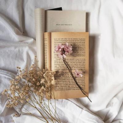 selamatkan bumi kita