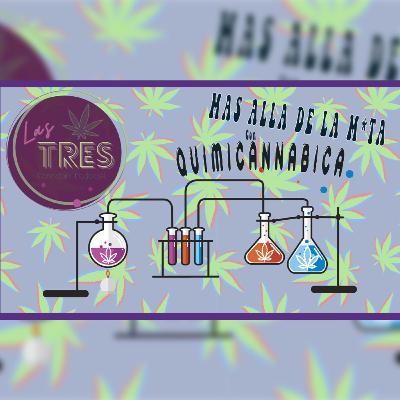 Toque 05 - Mas allá de la M*ota con Quimicannabica