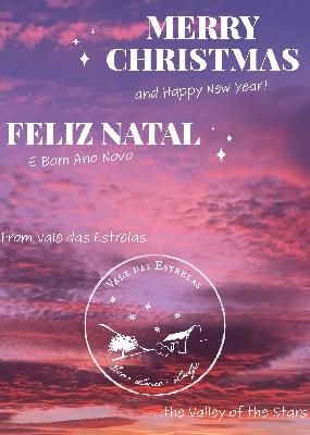 Happy Holidays!