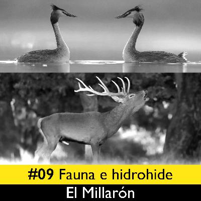 #09 El Millarón. Fauna e hidrohide #09 El Millarón. Fauna e hidrohide