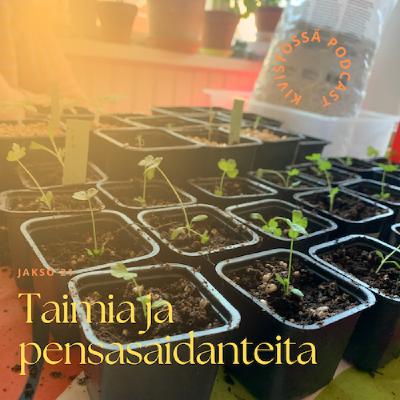 Taimia ja pensasaidanteita