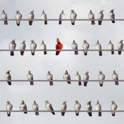 Part 1: Being Ordinary and Good Enough in a Perfect World