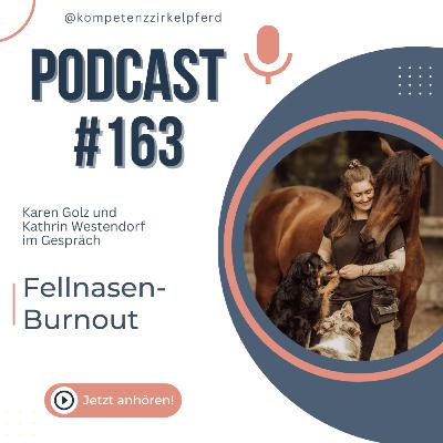 #163 Fellnasen-Burnout #163 Fellnasen-Burnout