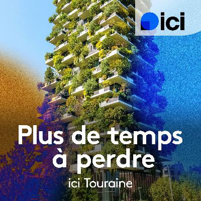 Recherche Tarente de Maurétanie en Touraine