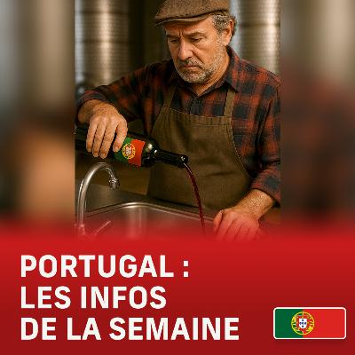 🇵🇹Vins portugais: 36 MILLIONS de litres encore à la poubelle? 🇵🇹Vins portugais: 36 MILLIONS de litres encore à la poubelle?