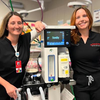 Oxygenation VS Ventilation Showdown with Meagan Crowley RVT, VTS (Anesthesia & Analgesia)