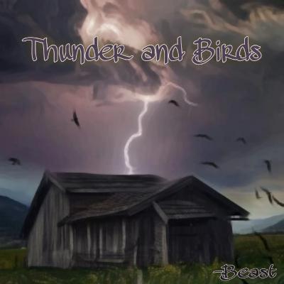 Thunder and Birds