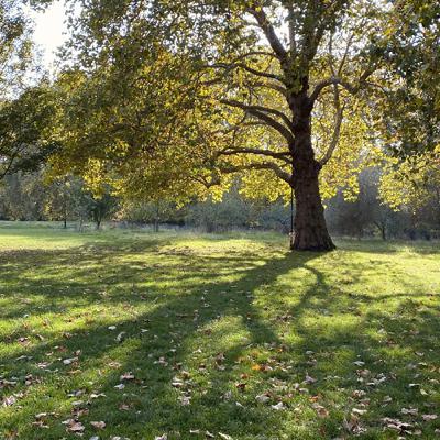 S3E4 - 年度帳單大作戰英國版 S3E4 - 年度帳單大作戰英國版