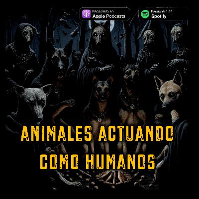 Animales Actuando Como Humanos