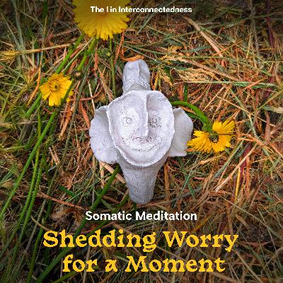 Somatic Meditation - Shedding the Weight of Worries