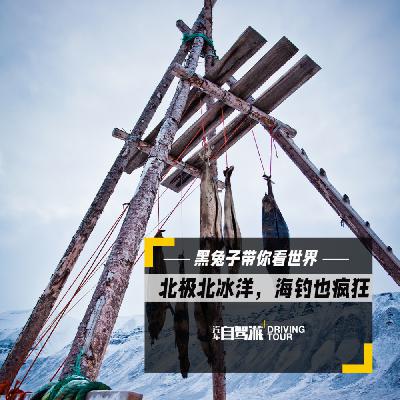 北极系列7——北极北冰洋，海钓也疯狂