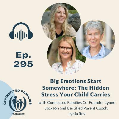Big Emotions Start Somewhere: The Hidden Stress Your Child Carries