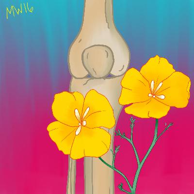 Episode 5 - Patella Me A Story
