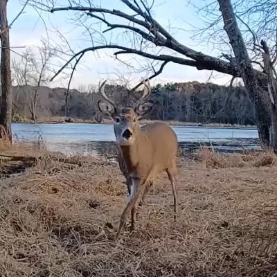 8 Point Buck Video, Gear Discounts and Getting Sighted In For The Big Hunt