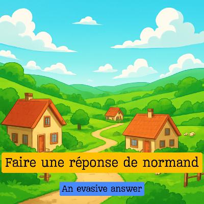 Expression française : "Faire une réponse de normand"