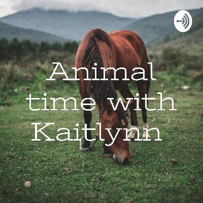 Five things you should know about horses.