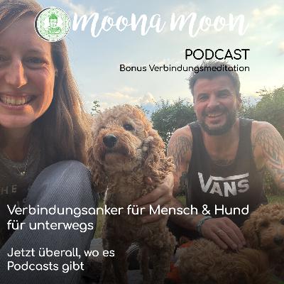 🌿 Verbindungsanker Meditation für Mensch & Hund – für unterwegs 🌿 Verbindungsanker Meditation für Mensch & Hund – für unterwegs