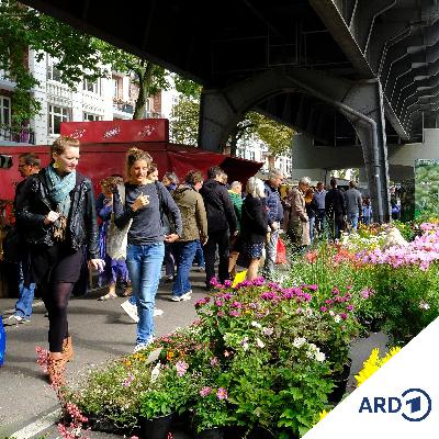 Wi snackt Platt: Wekenmarkt, Gala-Vörfreid un Leeswettbewarv