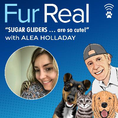 "SUGAR GLIDERS ... are so cute!" with Alea Holladay