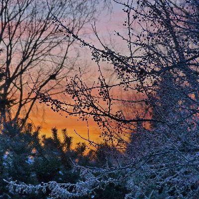 Winter Glow: Mastering Cold Weather Skincare!